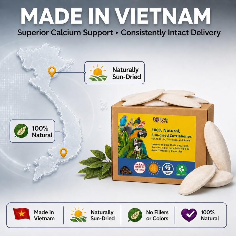Birds LOVE 3.5-4″ Cuttlebone for Birds – 100% Natural Sun-Dried Calcium Carbonate Mineral Supplement – for Parakeets, Budgies, Cockatiels, Finches & Canaries – 12 Pack with Holder – Made in Vietnam 3.5" - 4" 12 Count (Pack of 1)