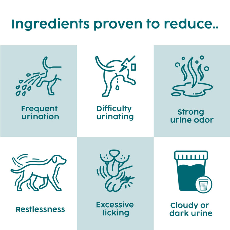 Urinary Tract Infection Treatment for Dogs & Cats - Dog UTI Treatment at Home for Kidney and Bladder Support, Herbal Supplement Drops for Prevention of Incontinence & Bladder Stones | 50ml
