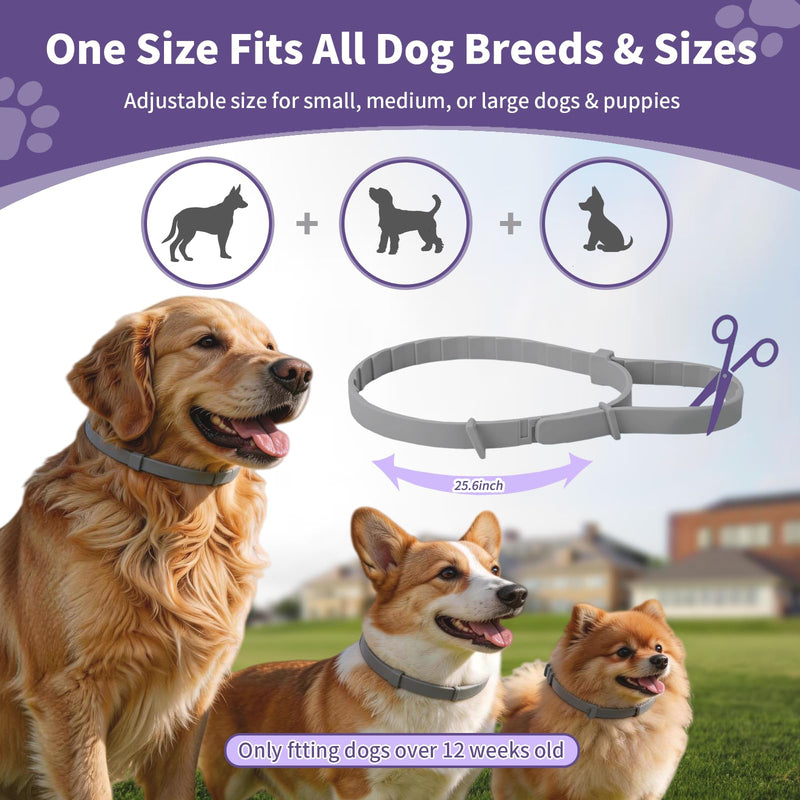 Wiiks&Wooks Flea and Tick Collar for Dogs, 5 Packs Flea Collar for Dogs for 40 Months Protection, Waterproof & Adjustable Flea and tick Prevention Collar for Small Medium Large Dogs & Puppies, Grey 5 Pack Flea Collars