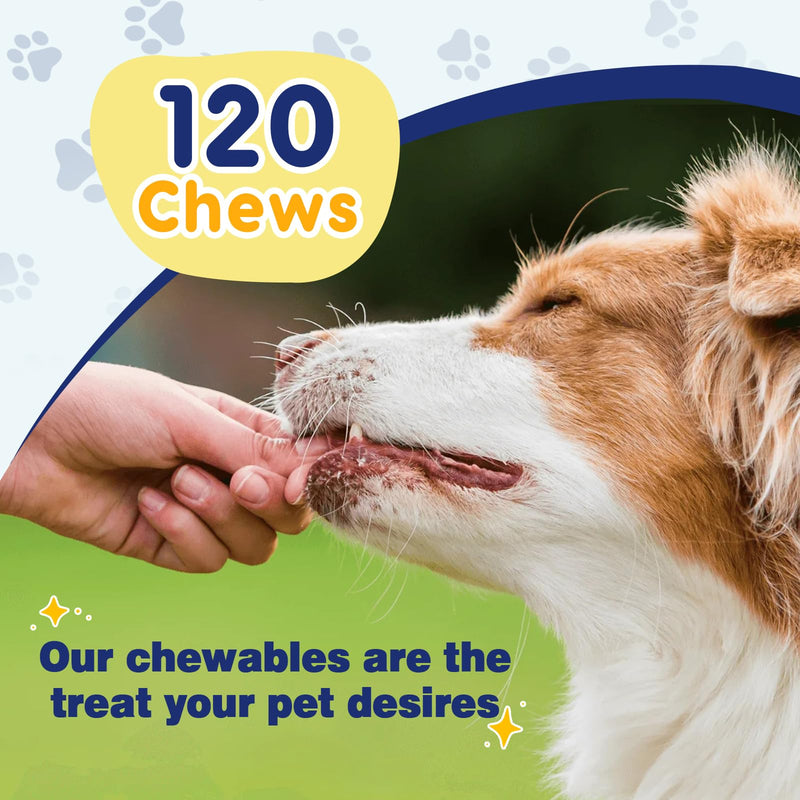 Omega 3 for Dogs with Salmon Oil, Fish Oil for Dogs Skin and Coat Supplement, Dog Allergy Relief, Hot Spot Treatment, Anti Shedding, Hip & Joint Support with EPA & DHA, Biotin, Vitamin E - 40 Servings 120 Chews - BeesActive Australia