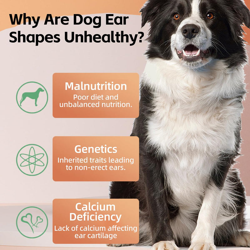 MANON ROSA Dog Ear Posting Kit for Doberman Pinschers - Ear Stand Up Support Tool with Tape for Ear Correction and Vertical Hold (2-Pack) 2-Pack - PawsPlanet Australia