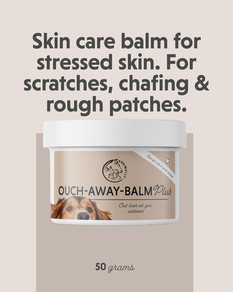 Annimally Skin Care Balm for Dogs 50 g | Skin balm with zinc, cod liver oil, rapeseed oil & calendula, for minor scratches, made in Germany