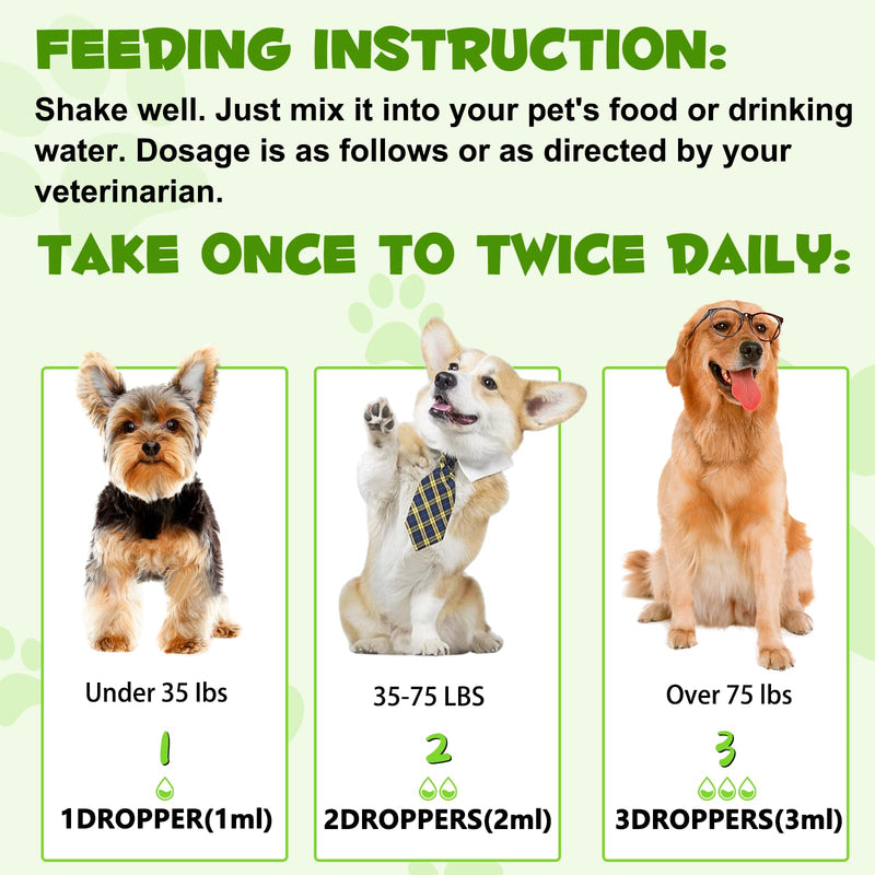 Probiotic For Dogs, 3-In-1 Probiotics Dogs Drops, with Prebiotic & Enzymes, Supports Gut Health, Immunity & Digestive Comfort, 60ml