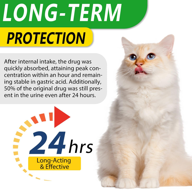 Cat Antibiotics for Infections, Natural Antibiotics for Cats, Supports Immune & Cat Allergy Itch Relief, Pet Antibiotics Supplement, Chicken Flavor, 60ml