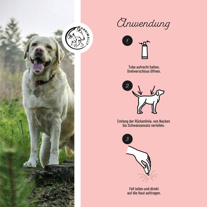Annimally Flea and Tick Protection Spot ON for Dogs - Effective Tick Treatment for Dogs, 3 Months Long-Term Protection Flea Treatment & Tick Protection - (4-10kg) S: 4-10 kg - BeesActive Australia