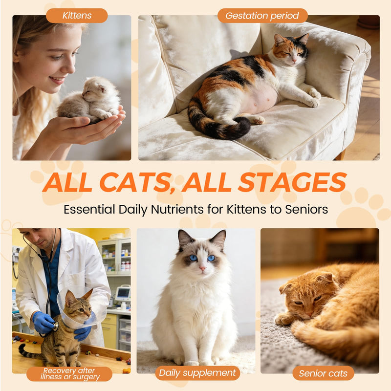 Cat Multivitamin Supplement, Supports Immune System & Energy, Meets Nutritional Needs During Development, Gestation & Postnatal, Contains Multiple Vitamins & Minerals