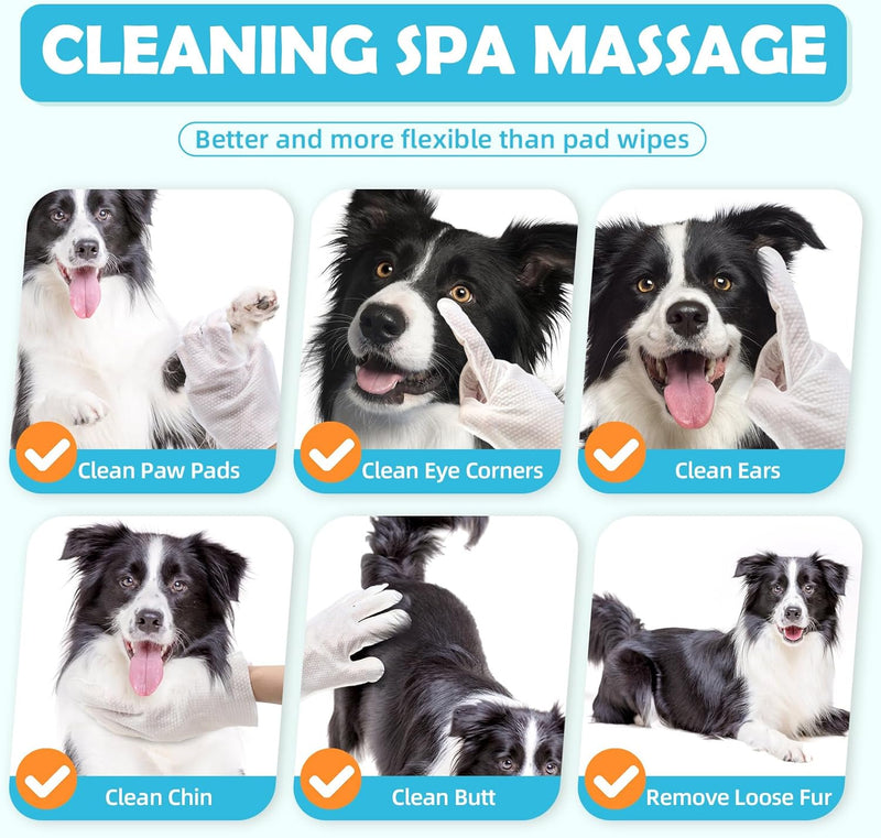 Pet Cleaning Glove Wipes for Dogs & Cats, Cleaning & Deodorizing Grooming Bathing Gloves, Nourish Cat Dog Fur Glove Wipes for Dry Cleaning, Daily Care and Travel No-Rinse 10PCS - BeesActive Australia