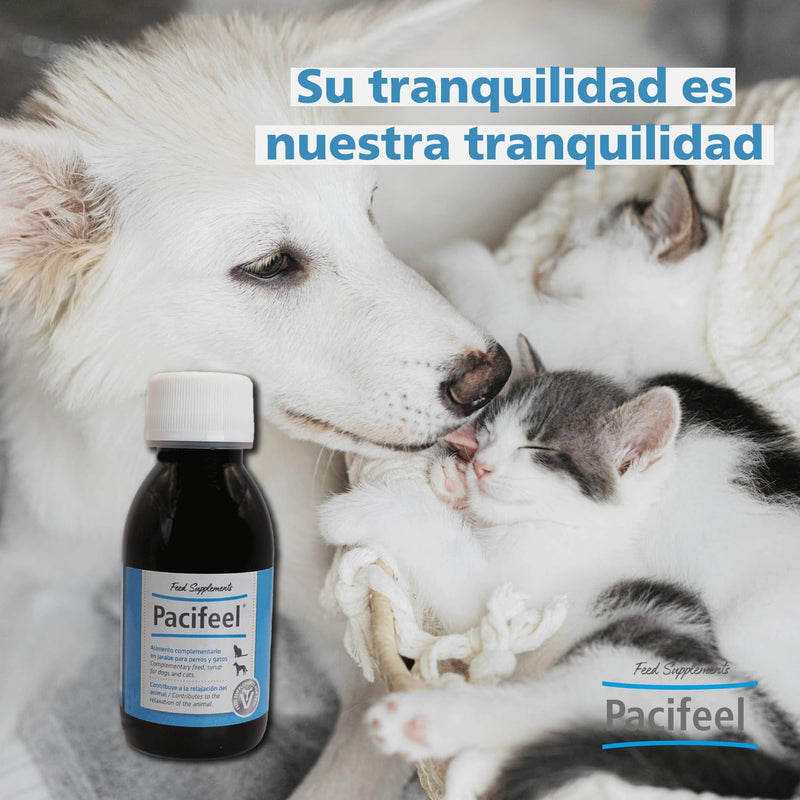 Heel - Pacifeel Syrup, Food Supplement for Dogs and Cats with Melissa and Passionflower, Promotes Relaxation and Controls Stress and Anxiety Naturally, with Good Taste - 150ml