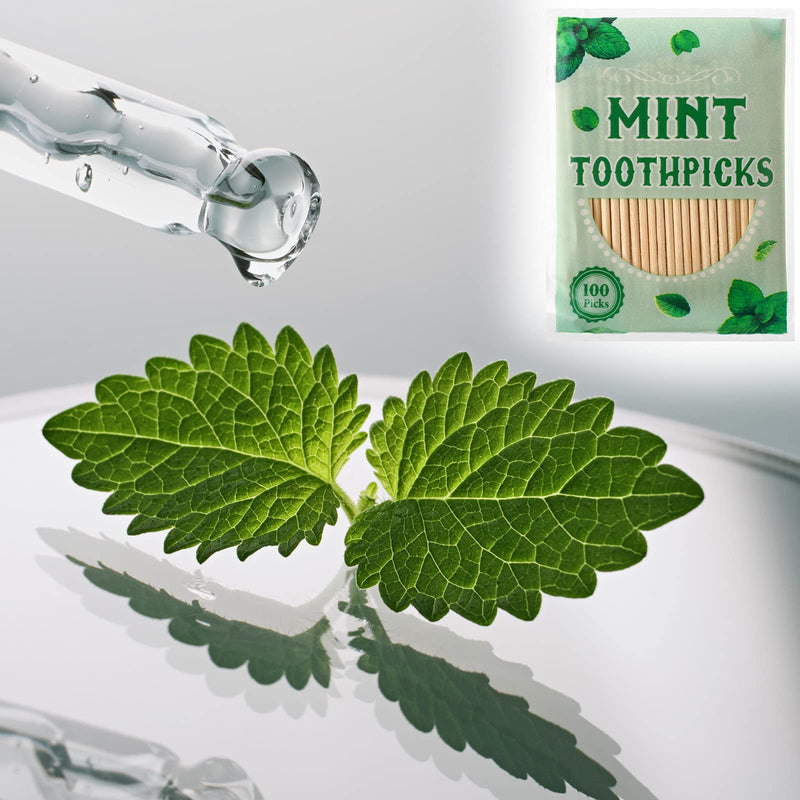 600 Pcs Mint Toothpicks Bulk Flavor Menthol Toothpicks Wood Flavored Toothpicks for Adults Natural Wooden Tooth Pick for Humans Teeth Oral Dental Health - BeesActive Australia