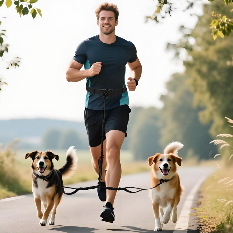 Tails & Tales Hands Free Dog Leash with Waist Pouch, Lumbar Support Upgraded, Bungee Reflective Leash, Adjustable Belt 25-55", Walking Running Hiking Training for Dogs Up to 125lbs (Black, Two Dogs) Black - BeesActive Australia