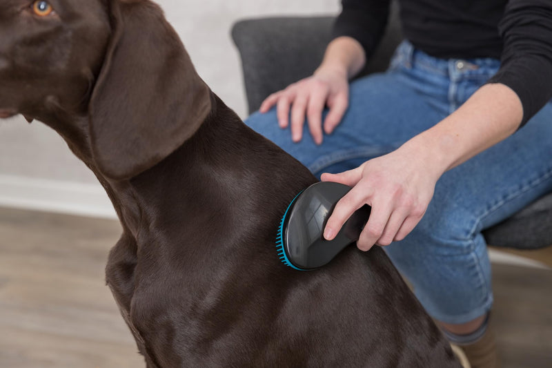 Trixie Soft Brush - BeesActive Australia