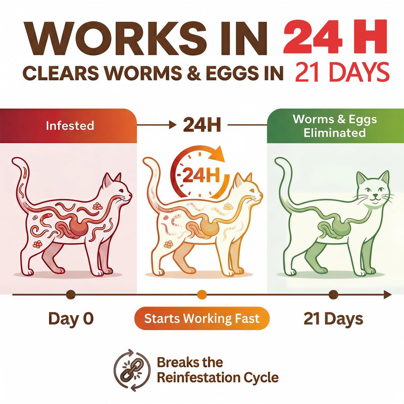 Tapeworm Dewormer for Cats & Kittens (6+ Weeks), Praziquantel Tablets, Tapeworm Treatment for Cats, Small & Easy to Administer, 20 Count