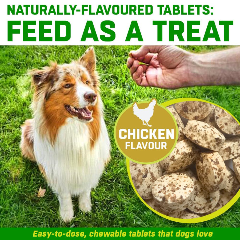 Multivitamins for Dogs | 180 x Chicken Flavour Tablets | 24 x Essential Dog Vitamins & Minerals | Full Spectrum Health Supplement for Dogs | Up-to 1 x Year’s Supply | Premium Quality