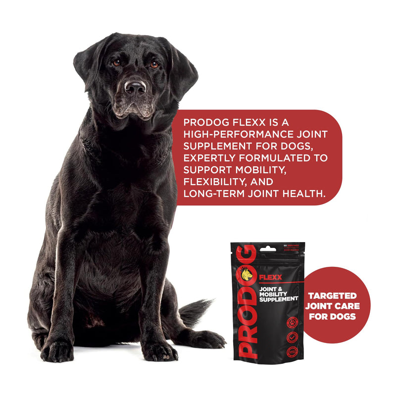 ProDog Flexx Joint & Mobility Powder for Dogs - 11 Active Ingredients | Glucosamine MSM Green Lipped Mussel | Senior, Adult & Working Breeds | 120g, 30 Servings Small - 120g