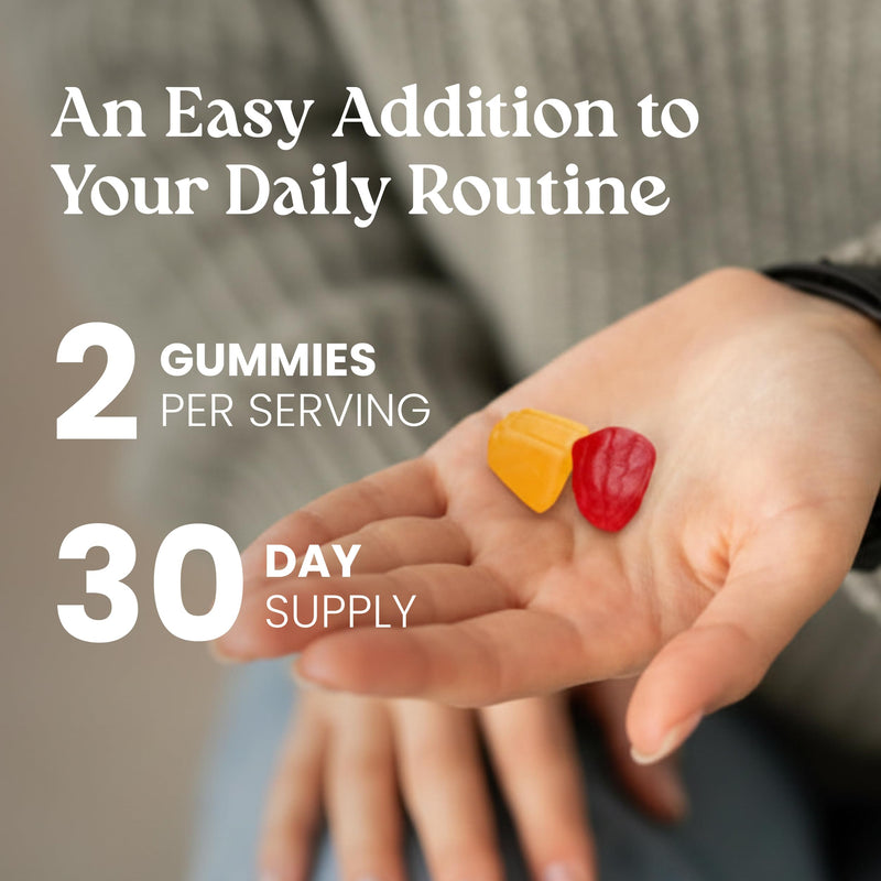 VITA GLOBE Adult Multivitamin Gummies with 9 Vitamins A C D E B6 B12 | Non-GMO, Vegan, Chewable Daily Vitamins with Folic Acid, Biotin & Zinc, Immune Support, 120 Count 60 Count (Pack of 1)
