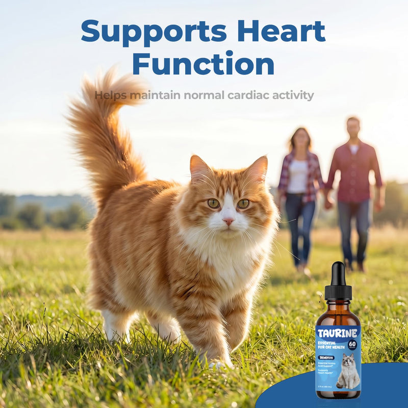 Taurine Supplement for Cats Drops - Daily Amino Acid Nutrition Liquid Drops for Heart & Vision Support, Easy Daily Taurine Supplement for Feline Diets, 60 ml 60 ml (Pack of 1)