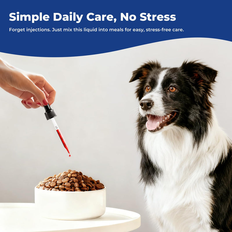 Appetite Stimulant for Dogs – Liquid Vitamin B12 Drops, Methylcobalamin(Methyl B12) Dog Supplement, Boosts Appetite, Energy, Mood, Recovery - 2 fl oz (60ml)