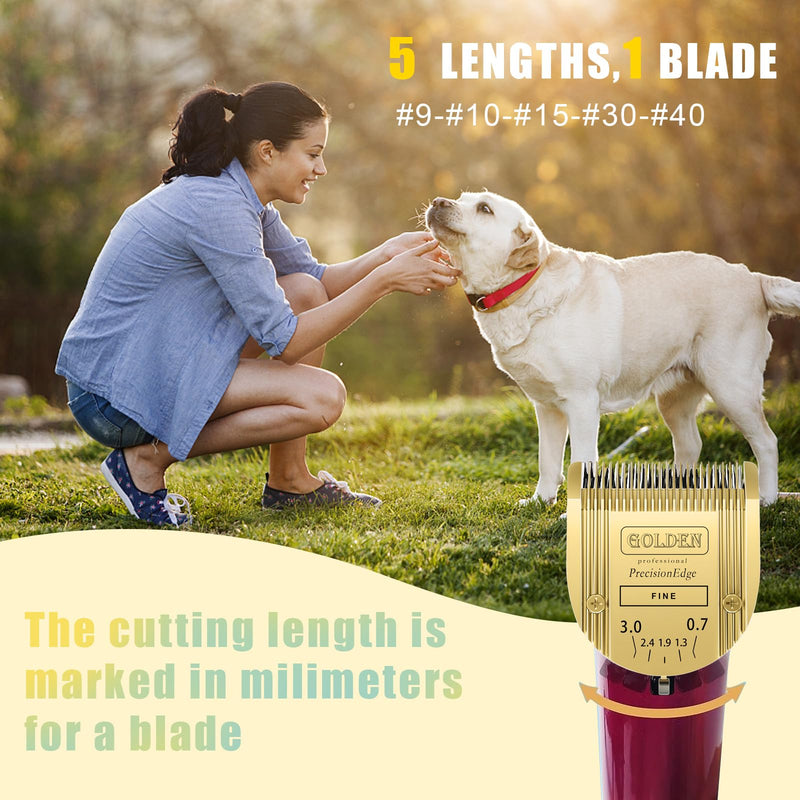 COSYONALL Adjustable Dog Grooming Clipper 5-in-1 Blade Compatible with WAHL Professional Animal Clipper Arco, Bravura, Chromado, Creativa, Figura, and Motion Pet, Dog, and Horse (Gold/3pc) Gold/3pc - BeesActive Australia