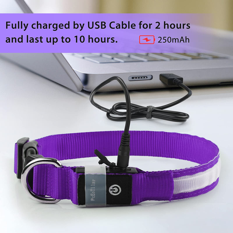 PcEoTllar Light up Dog Collar for Night Walking - LED Dog Collar Light Rechargeable Color Changing, Glow in The Dark Dog Collars Waterproof Glowing Dog Collars for Large Small Medium Dogs Purple M(15 inch-19.7 inch) - BeesActive Australia