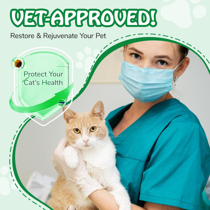 Cat Antibiotics For Infections, Antibiotics For Cats - Support Cat Allergy Relief & Uti Treatment & Itch Relief & Immune,Improve Respiratory System & Promote Digestion,Multivitamin 60 ml