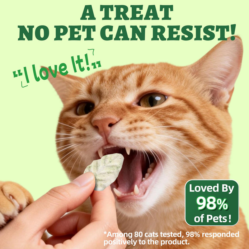 Wellix 3.9oz Leaf Crisps Freezed-Dried Cat Grass Treats - Healthy Cat Treats for Hairball Control & Teeth Cleaning Stick - Kittens Dental Chews and Training Snacks