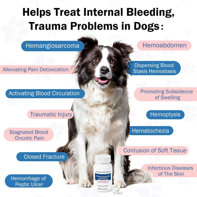 Fast Acting Bleeding Control for Dogs - Yunnan Sanqi Herbal Capsules, Supports Internal Bleeding, Hemangiosarcoma, Nosebleeds, Bloody Stools, Post-Surgical Recovery, 60 Capsules
