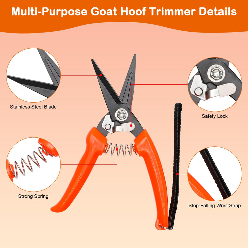 8 inch Farrier Tool Kit, Coldairsoap 3PCS Goat Hoof Trimmers with 1PCS Metal Shears, 1PCS Double-Side Long Handle Rasp, 1PCS Blue Storage Bag, Hoof Rasp File for Goat Sheep, Alpaca, Lamb, Pig - BeesActive Australia
