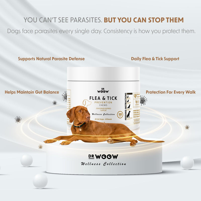 Dog Flea & Tick Prevention Chews – Daily Defense Supplement for Parasites, Gut & Immune Support – Natural Formula Soft Chews – Made in USA – Dr. Woow (120 Ct) Flea & Tick Relief