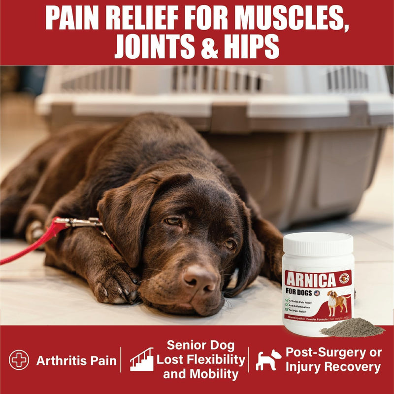 Arnica for Dogs, Pain Relief Medicine for Hip & Joint Pain, Arthritis Pain Relief Killer for Dog Cat, Anti Inflammatory, Help Reduce Muscle Joint & Hip Soreness Stiffness, Natural Powder Formula, 100g