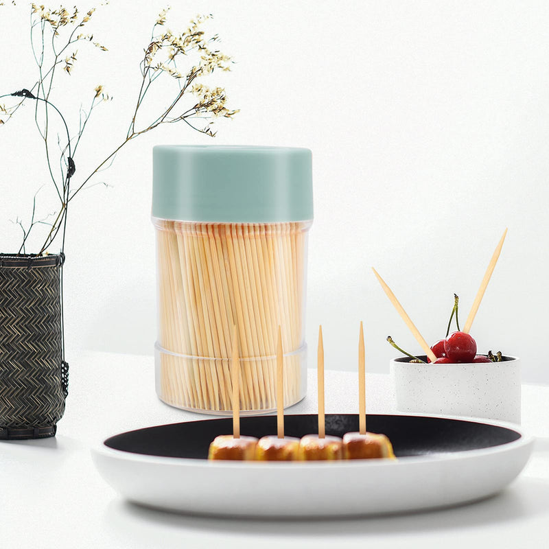 Bamboo Toothpicks [3000 Count] - With Reusable Toothpick Holder, Sturdy Smooth Finish Tooth Picks, for Party, Appetizer, Olive, Barbecue, Fruit and Teeth Cleaning, Green. - BeesActive Australia