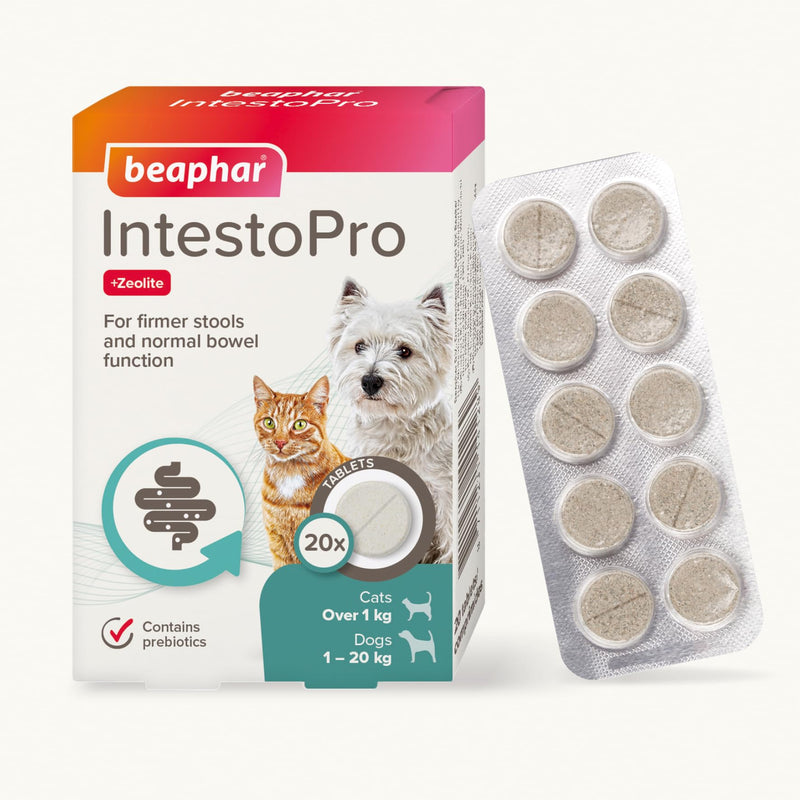 Beaphar – IntestoPro Prebiotic Stool Firming Tablets for Cats and Small Dogs (<20kg) – Natural Active Ingredients – Aids digestive upsets and diarrhoea - Supports Healthy Gut Function – 20 Tablets 20 Tabs Small Dog Tablets