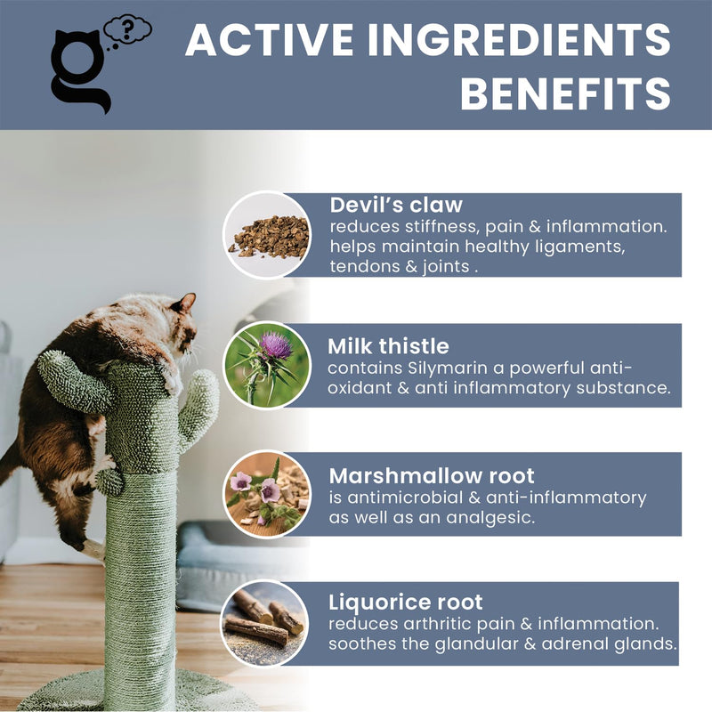 Joint Guru Mobility Supplement for Cats, 100ml - Naturally supports flexibility vitality - Cat Health - Joints Tendons Hips - Anti-inflammatory