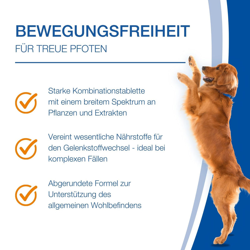 NutriLabs Canidex® joint tablets for dogs 60 PCS. - with MSM, hyaluronic acid, glucosamine, UVM. - Health products for dogs - Food supplements for dogs - Devil's claw dog chewable tablets 60 pieces - BeesActive Australia