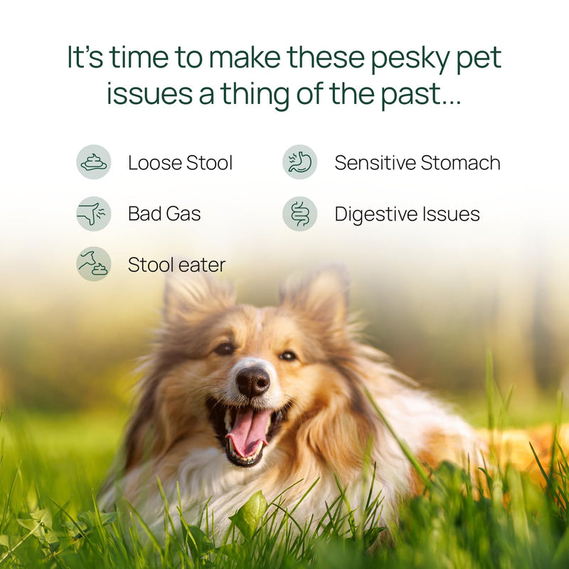 pawTree Gastro Pro Plus® for Dogs and Cats - Probiotics, Prebiotics and Digestive Enzymes - for Sensitive Stomach, Digestive Issues, Loose Stool, and Bad Gas (30 ct) 30 ct