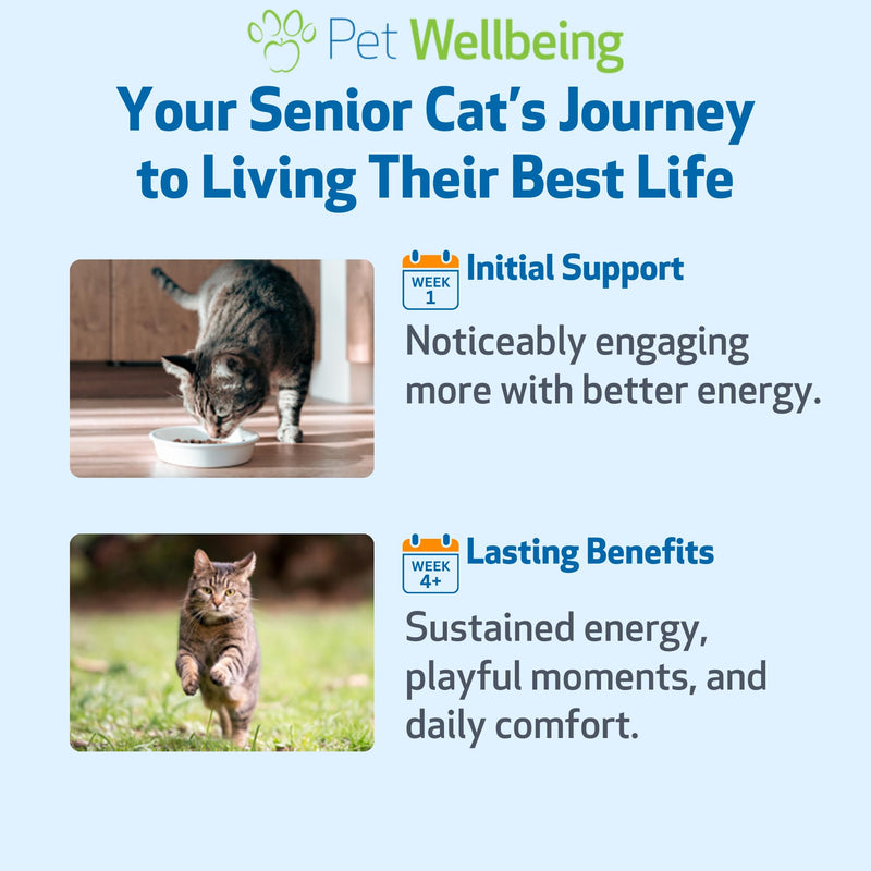 Pet Wellbeing Old Friend for Senior Cats - Supports Immune System Health, Joint Mobility, Healthy Energy Levels, Alfalfa, Reishi - Veterinarian-Formulated Herbal Supplement 4 oz (118 ml) 4 fl oz (118 ml)