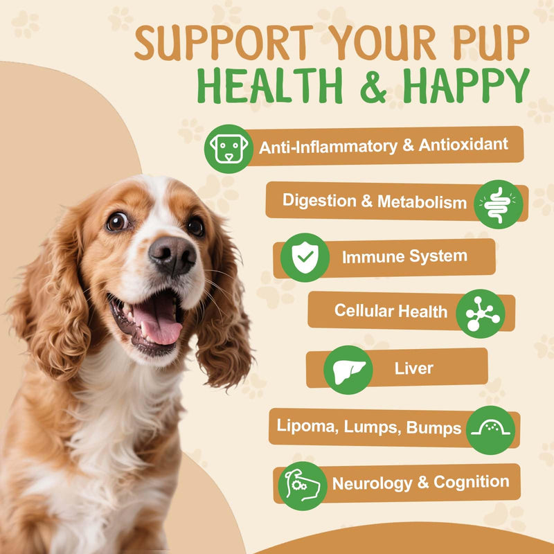 9 in 1 Mushroom Supplement for Dogs - Turkey Tail Mushroom for Dogs - Dog Lumps and Bumps Treatment - Digestive, Cellular, Immune Health Support - Reishi, Lions Mane, Shiitake - Roast Chicken Flavor