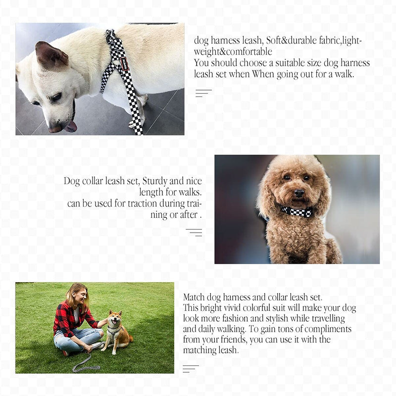 Dog Harness Collar Leash Set - No Pull Pet Adjustable Back Clip Halter Basic Collar Heavy Duty 5FT Anti-Twist Leash for Extra Small Puppy Medium Large Breed Training Running (Checkered, S) Checkered - BeesActive Australia