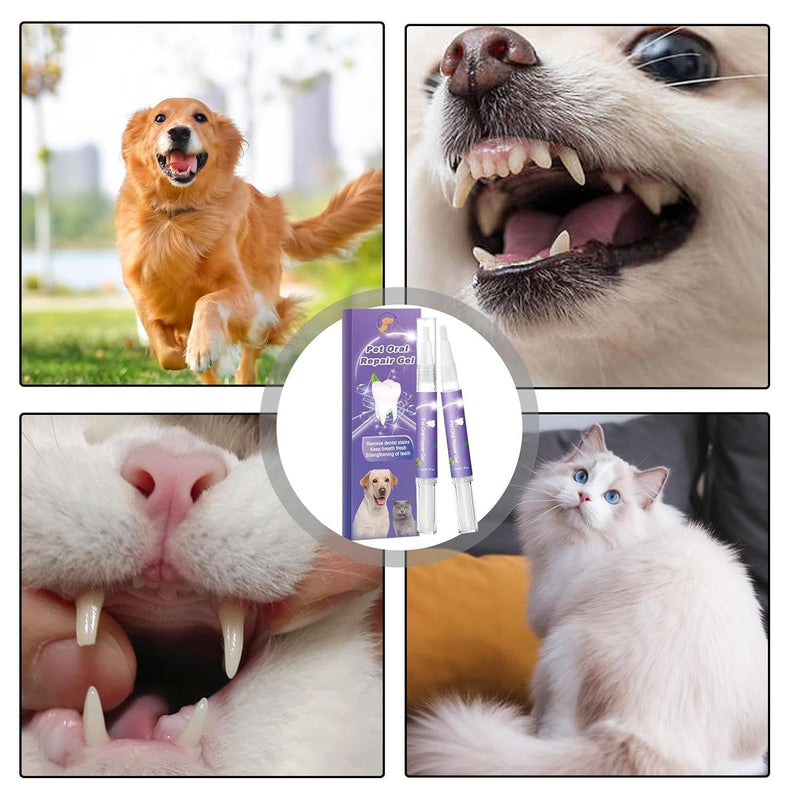 【3pcs】 Pet Oral Repair Gel, Pet Oral Repair Gel for Dogs,Pet Breath Freshener for Dogs & Cats, Eliminate Breath, Targets Tar-Tar, Without Brushing， for Dogs & Cats, Pet Teeth Repairing - BeesActive Australia