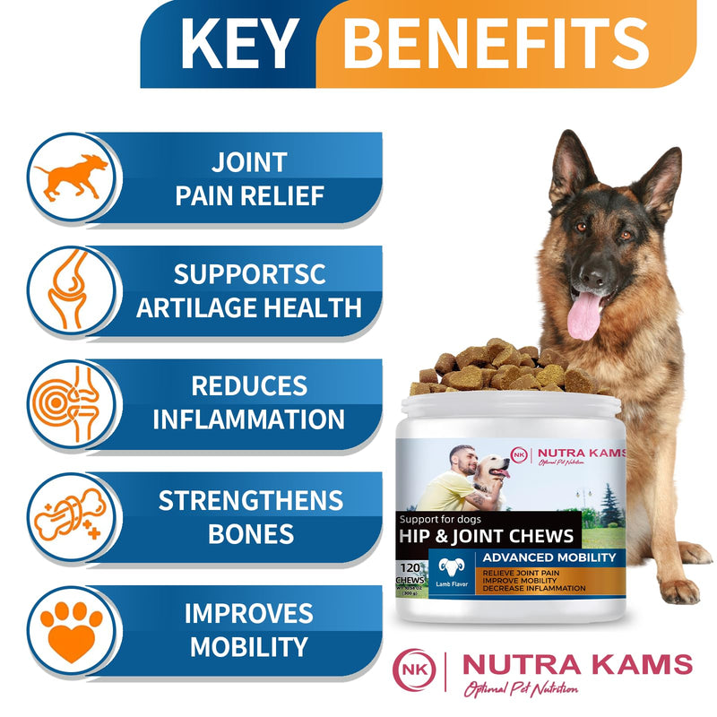 Hip & Joint Chews for Dogs, Advanced Mobility Support with Glucosamine & MSM, Natural Lamb Flavor, 120 Soft Chews