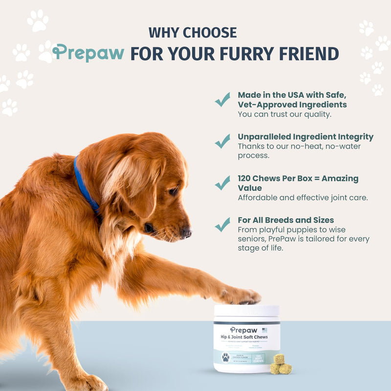 Hip and Joint Supplement for Dogs with Natural Ingredients Glucosamine Chondroitin MSM Turmeric and Collagen Dog Joint Soft Chews for Mobility Support USA Made 120 Count