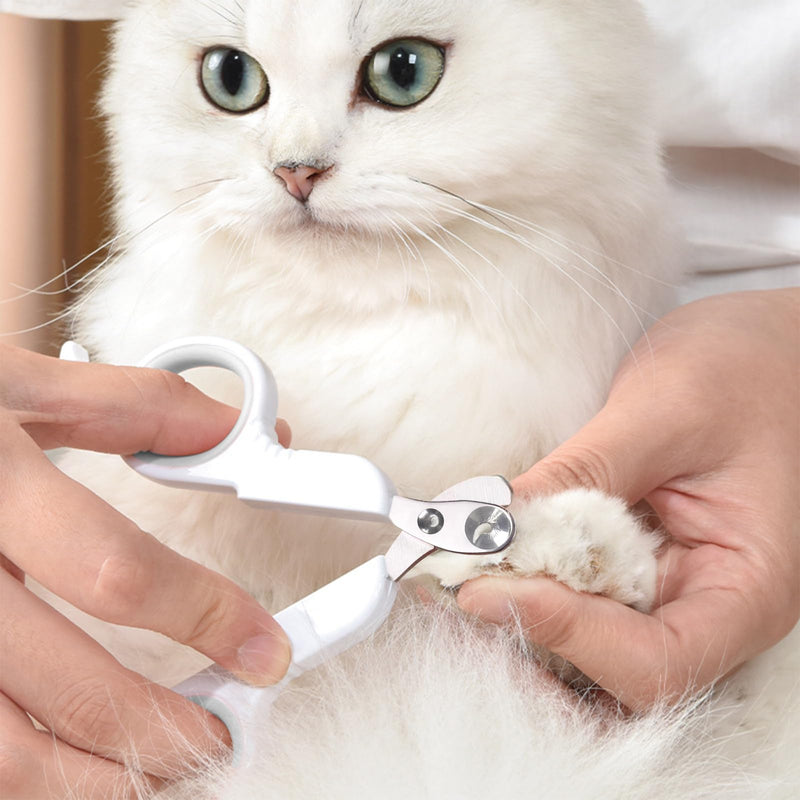 Cat nail scissors, cat claw scissors, cat claw cutter for beginners, great for beginners, safety stainless steel cat nail cutter, cat claw cutter, cat claw cutter - BeesActive Australia
