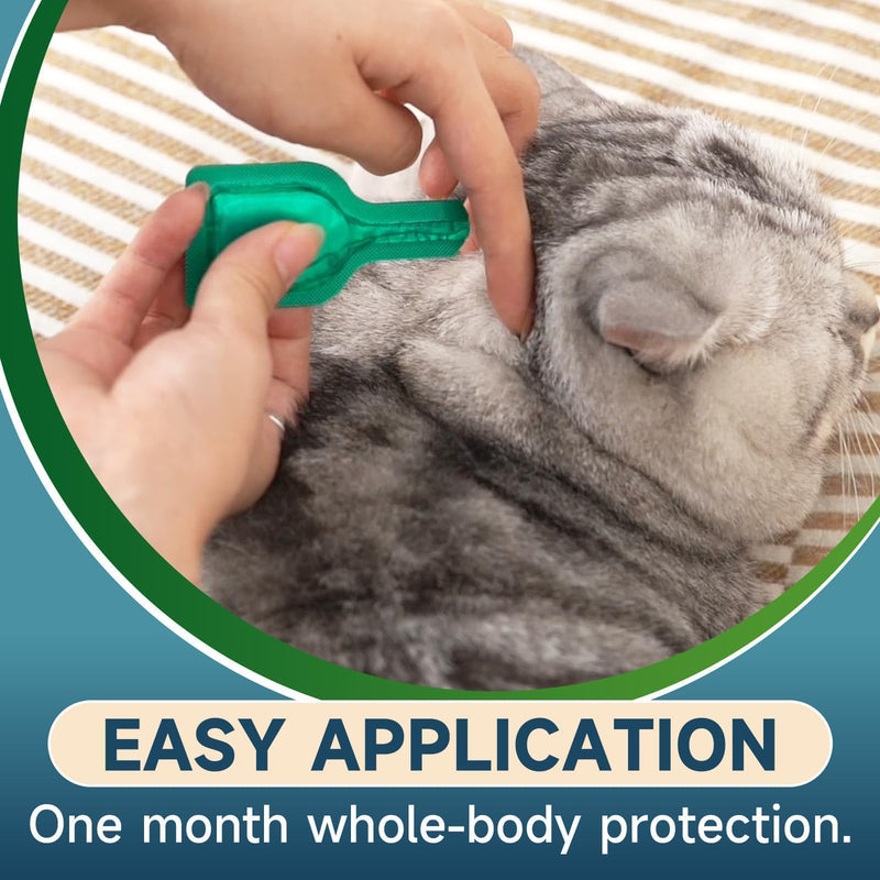 Flea Treatment for Cat Flea and Tick Prevention for Cats Kitten, 6-Month Supply, Cat Flea Treatment & Control, Repellent, Fast Acting Topical Drops for Cats, Over 1.5 lbs, 24-Hour Protect - BeesActive Australia