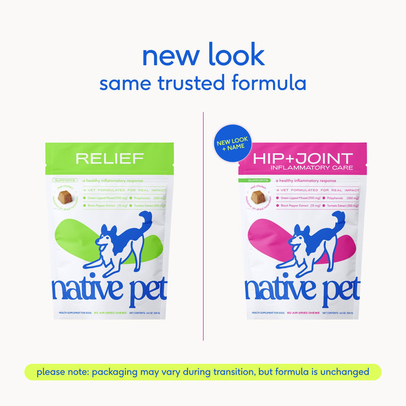 Native Pet Inflammatory Care - Pain Relief for Dogs - Green-Lipped Mussel, Turmeric & Collagen for Dogs - Hip and Joint Supplement Supports Healthy Inflammatory Response & Joint Comfort - 30 Chews 30 Servings