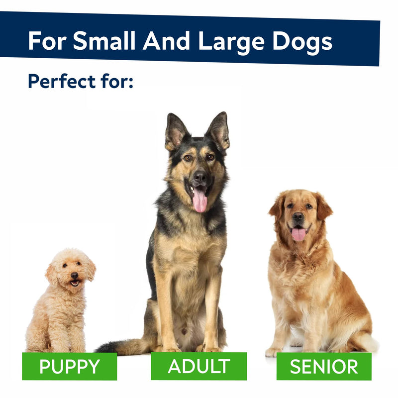 STRELLALAB No Poo Chews for Dogs - Coprophagia Stool Eating Deterrent - No Poop Eating for Dogs - Digestive Enzymes - Gut Health & Immune Support - Stop Eating Poop - Chicken Liver Flavor 120Chews 120Ct No Poo Chews - BeesActive Australia