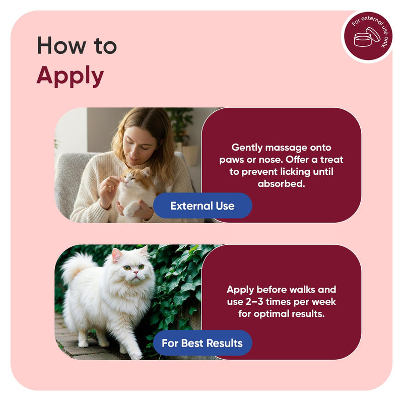 animigo Cat Paw & Nose Balm - 50ml - Snout Soother & Moisturiser - For Cracked Paws & Dry Noses - Cat Paw Balm with Almond, Extra Virgin Olive & Coconut Oil - Free from Parabens - Natural Paw Cleaner