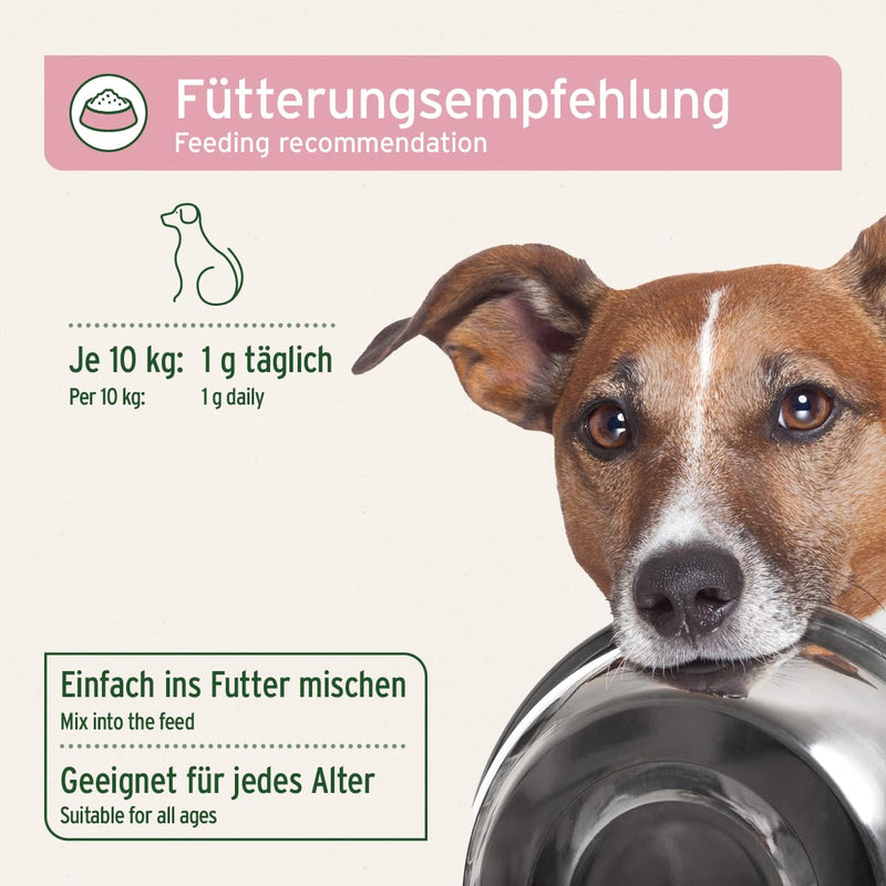 AniForte Bladder Formula for Dogs 100 g - Walk Less, Supports Bladder Function for Bladder Weakness, Incontinence, Urine Leakage & Urine Loss - BeesActive Australia