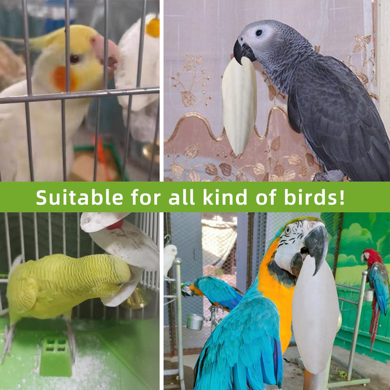 4.3"-4.7" Cuttlebone for Birds,Parakeets Cuddle Bone Beak Trimming,Premium Calcium Natural Cuttlefish Bone for Parrot,Cockatiel,Budgie,Tortoise, Snails,Reptiles,12 Pcs 12 Pcs (4.3"-4.7")