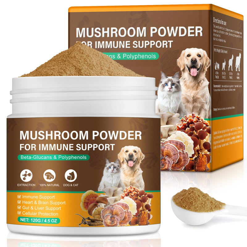 Mushroom Supplement Powder for Dogs & Cats, 11 Beneficial Mushroom Complex for Immune Support, Cellular Protection, Heart & Brain Health Lion's Mane, Reishi & Turkey Tail, Bacon Flavor - 120g 120 g (Pack of 1)