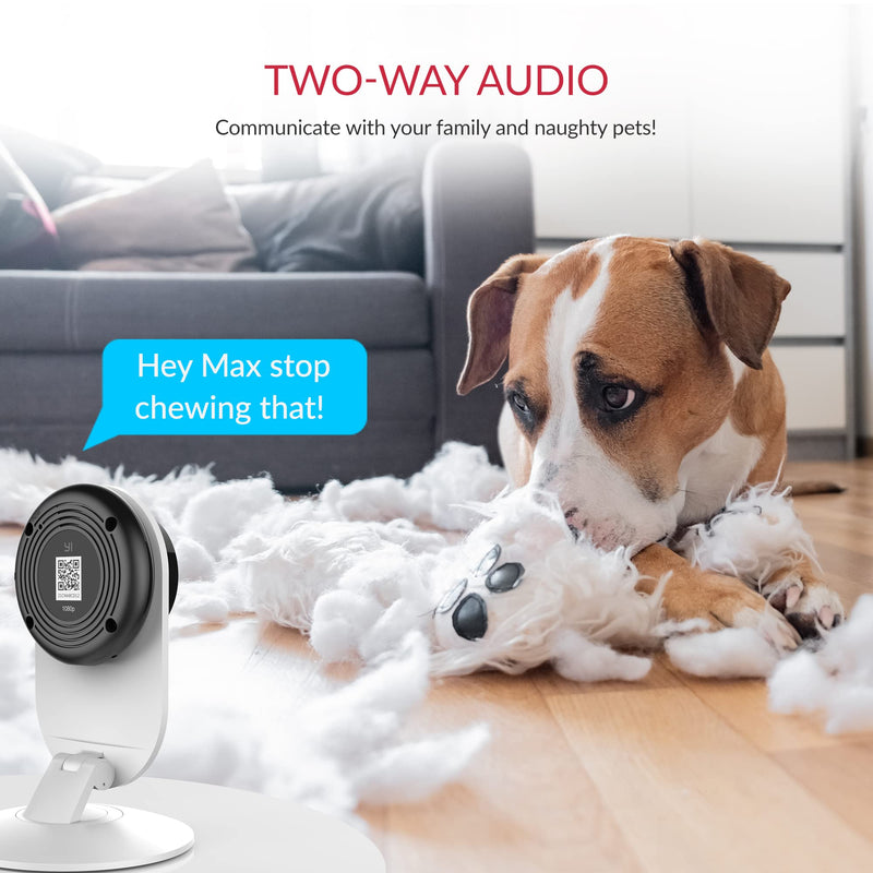 YI Pro 2K Home Security Camera, 2.4Ghz Indoor Camera with Person, Vehicle, Animal Smart Detection, Phone App for Baby, Pet, Dog Monitoring, Works with Alexa and Google Assistant 2Packs 2K pro 2pc - BeesActive Australia
