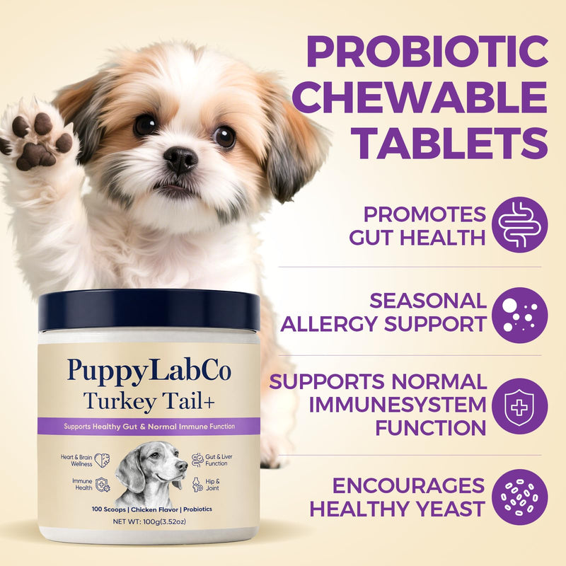 Puppy Lab Co Turkey Tail, PuppyLabCo Turkey Tail Mushroom for Dogs, Turkeytail Mushroom + Probiotics Powder Supplement, Chicken Flavor, Gut & Immune Supports, 100g (1) 1